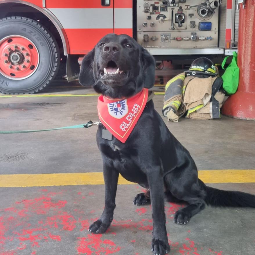 WhatsApp Image 2025-06-27 at 9.39.26 AM