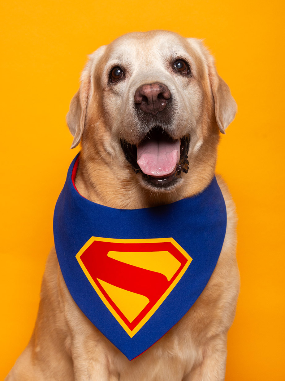 band superman