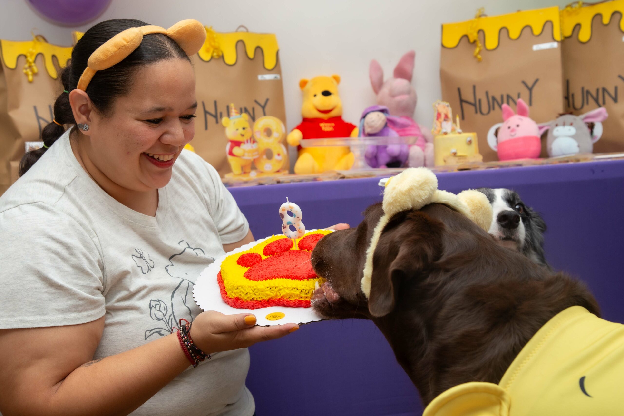 Fotografía de mascotas en Panamá