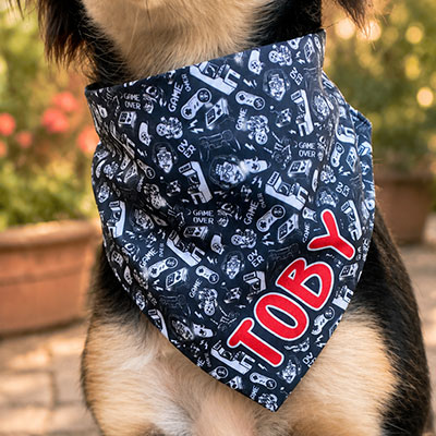bandanas-homa